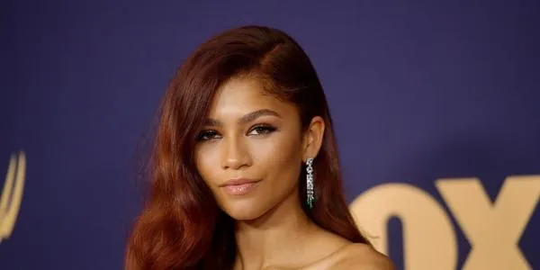 What is Zendaya net worth estimated? How did he get his fortune?